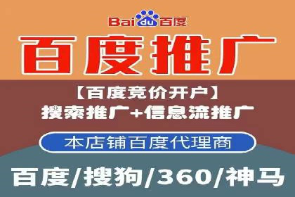 某电商平台的SEM推广实战经验